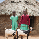 Screenshot 2024-12-02 at 8.54.57 PM